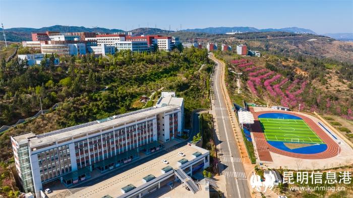 1611675_700x700 1611675_700x700