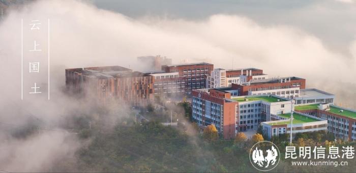 1617057_700x700 1617057_700x700