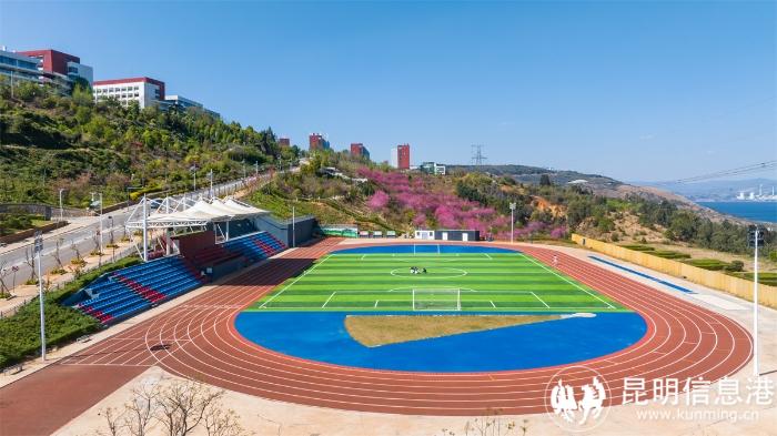 1616763_700x700 1616763_700x700