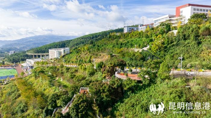 1616762_700x700 1616762_700x700