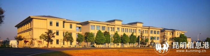 1610158_700x700 1610158_700x700