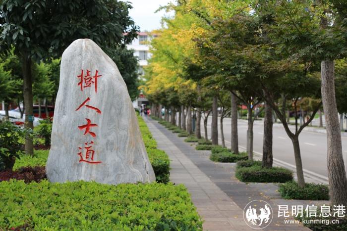 1610939_700x700 1610939_700x700