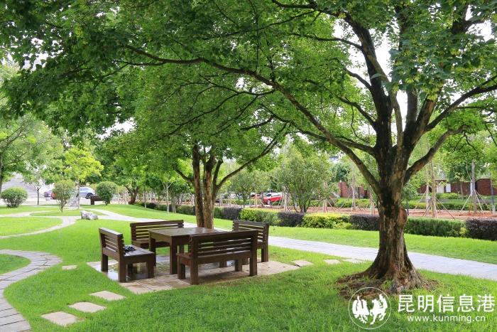 1610943_700x700 1610943_700x700