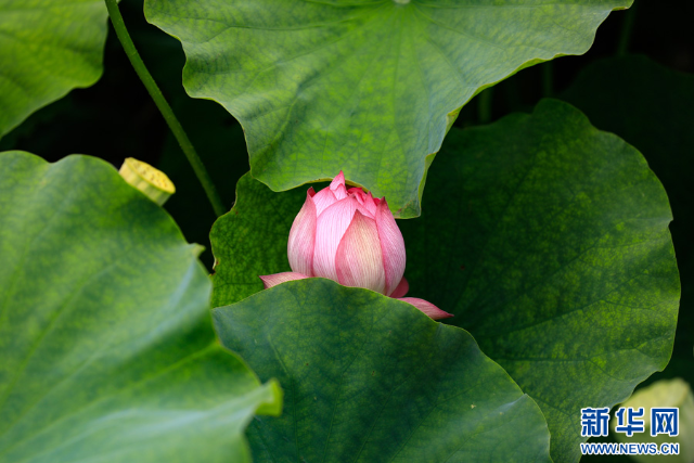 20240625a2fc75703f8040958dc805cb6bf207f4_2024062540b08020322d4fd9bea78978a1b326e5 20240625a2fc75703f8040958dc805cb6bf207f4_2024062540b08020322d4fd9bea78978a1b326e5