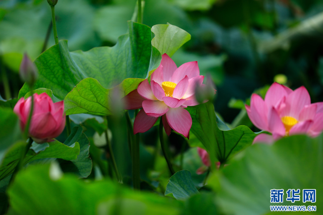 20240625a2fc75703f8040958dc805cb6bf207f4_2024062554aa41a052dc479f8cc456e75915e6ea 20240625a2fc75703f8040958dc805cb6bf207f4_2024062554aa41a052dc479f8cc456e75915e6ea