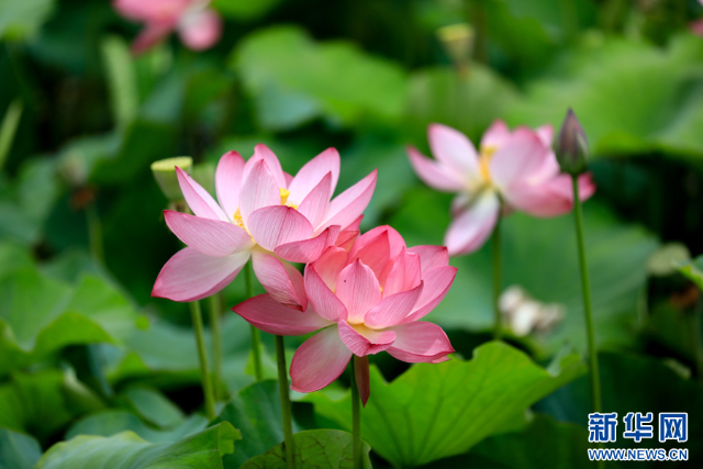 20240625a2fc75703f8040958dc805cb6bf207f4_2024062571059b9c860f4e468aa7b57f7391ec2a 20240625a2fc75703f8040958dc805cb6bf207f4_2024062571059b9c860f4e468aa7b57f7391ec2a