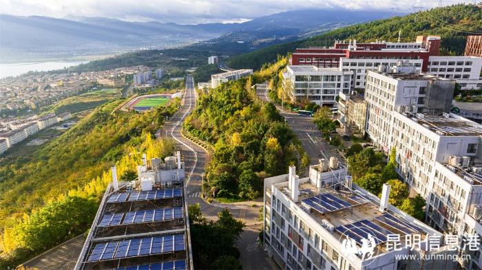 1616760_700x700 1616760_700x700