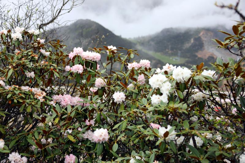 6311801e-0d5b-4bc7-9b2f-9af7cf995e25 6311801e-0d5b-4bc7-9b2f-9af7cf995e25