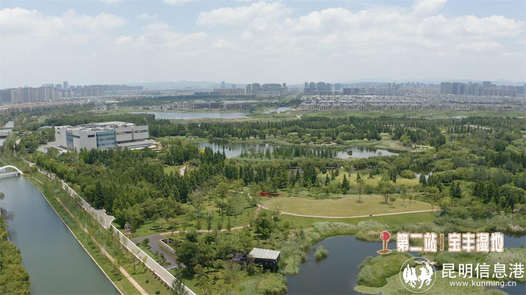 宝丰湿地 宝丰湿地