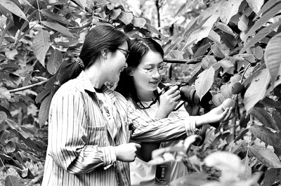 教育评价多维,学生成长多样 教育评价多维,学生成长多样