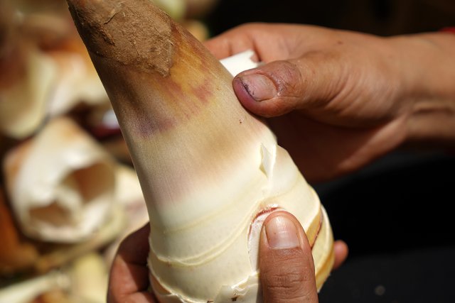 新鲜甜笋 2024年7月23日 罗宁姣摄(3).jpg