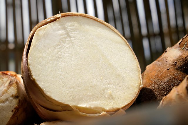 新鲜甜笋 2024年7月23日 赵媛蕊摄(2).jpg