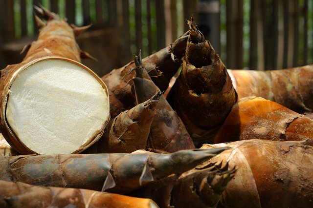 新鲜甜笋 2024年7月23日 罗宁姣摄.jpg