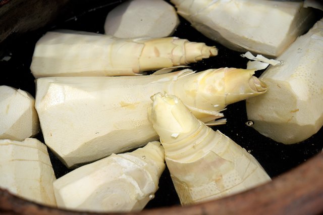 洗甜笋 2024年7月23日 赵媛蕊摄(1).jpg