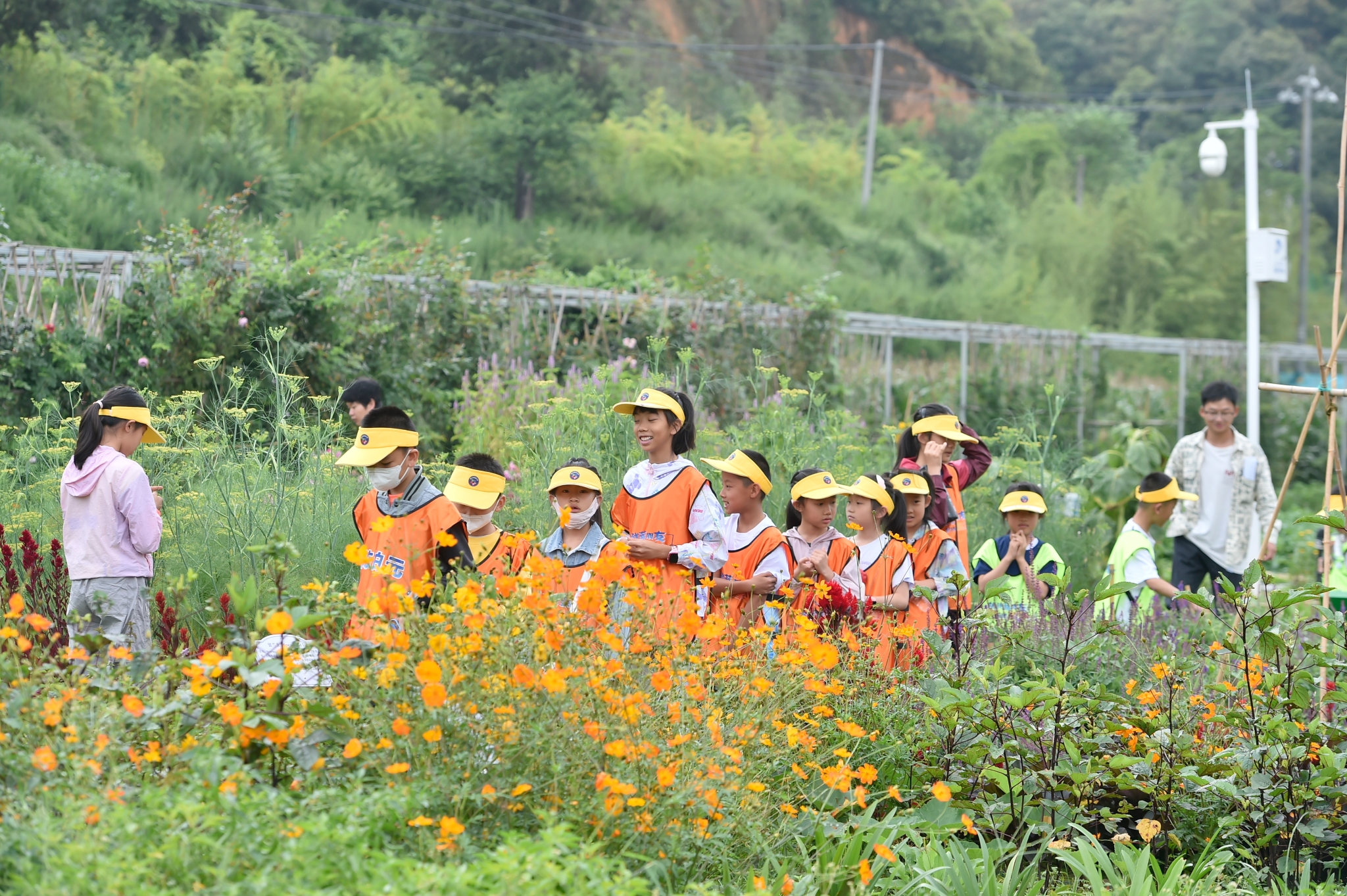 微信图片_20240730231043 微信图片_20240730231043