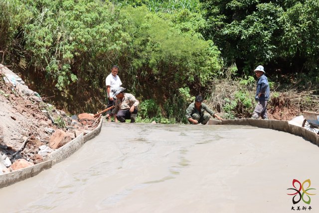 平甸：群策群力 齐心铺就“幸福路”