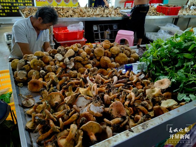 （采访传编辑）美好生活在云南 走，赶菌子Gai克！（有视频） (15).jpg