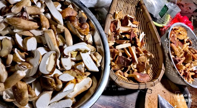 （采访传编辑）美好生活在云南 走，赶菌子Gai克！（有视频） (36).jpg