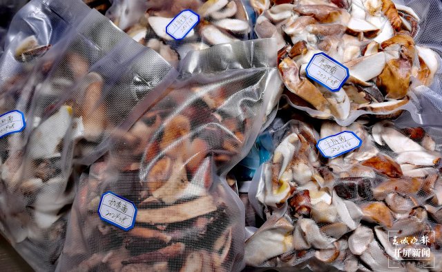 （采访传编辑）美好生活在云南 走，赶菌子Gai克！（有视频） (47).jpg