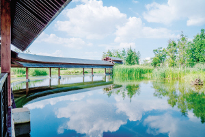 44341724604668090 44341724604668090