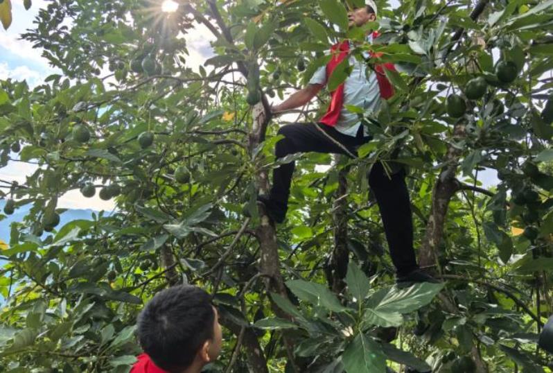 1724895798110663.jpg 360截图20240829093045227.jpg