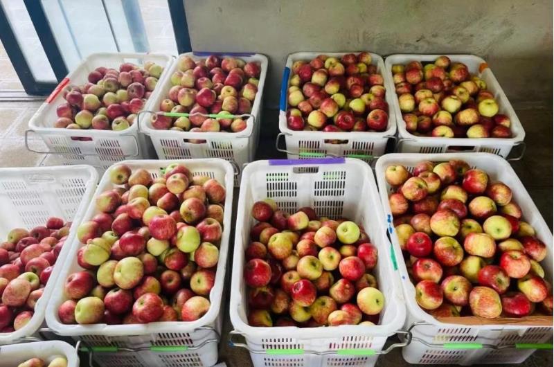 1724895814407546.jpg 360截图20240829093701789.jpg