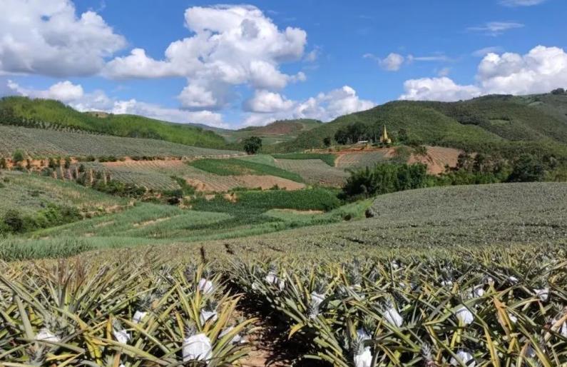 1724895586787323.jpg 360截图20240829093327261.jpg