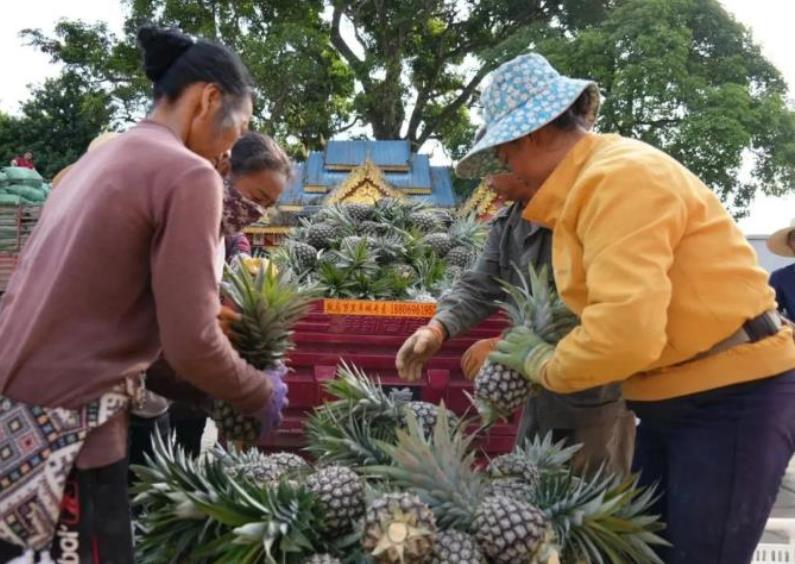 1724895614735737.jpg 360截图20240829093216906.jpg