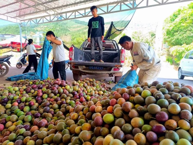 1724895991276206.jpg 360截图20240829094459881.jpg