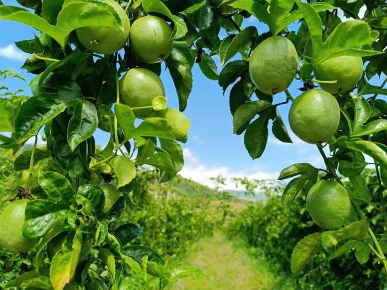 1724895976206222.jpg 360截图20240829094511594.jpg