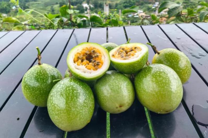 1724896006890607.jpg 360截图20240829093457893.jpg