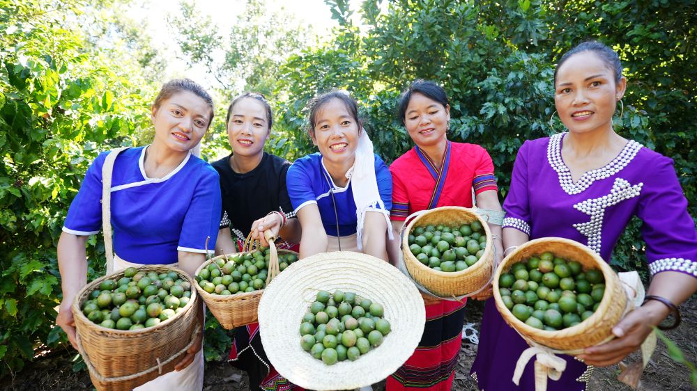 1725851751660487.jpg 411.jpg