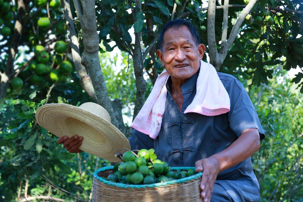 1725851766952947.jpg 412.jpg