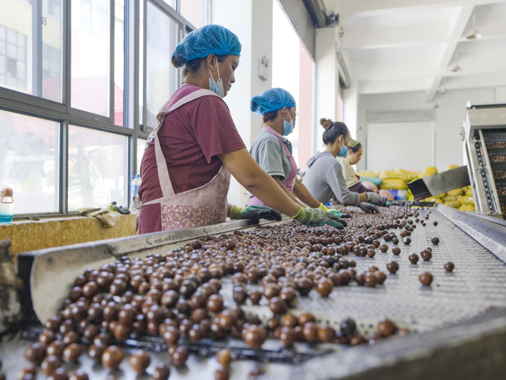 1725851779878235.jpg 413.jpg