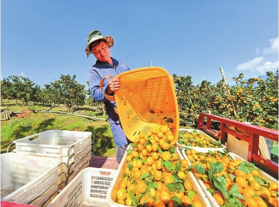 微信截图_20240913090119