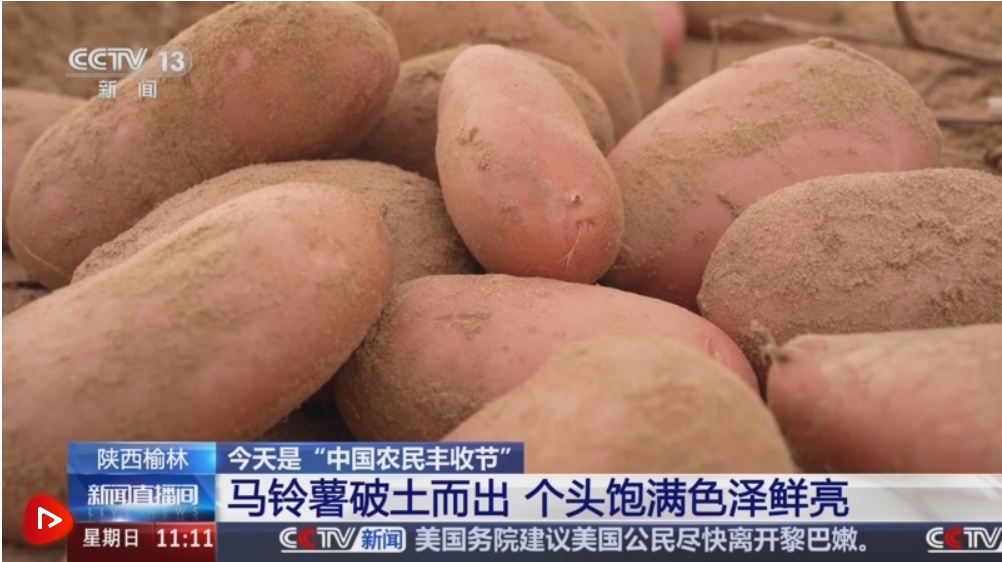 微信截图_20240922170125 微信截图_20240922170125