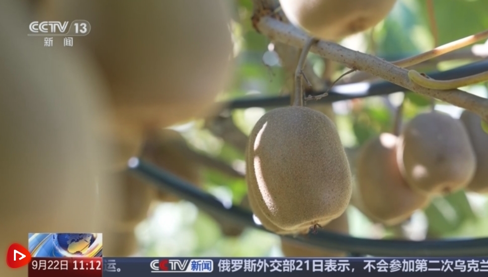 微信截图_20240922170132 微信截图_20240922170132