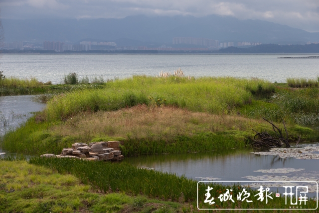 扶荔宫和宝丰湿地即将对公众开放(高伟 摄)