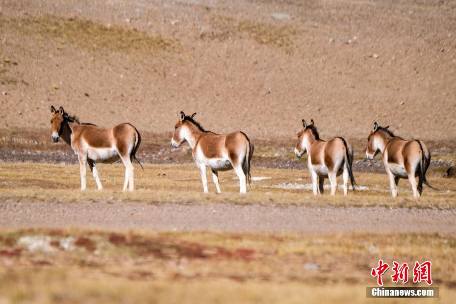 wc930x592_eacc2473f4694c3795964b480b92afa5