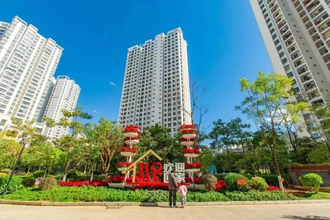 1728876609776821.jpg 316.jpg