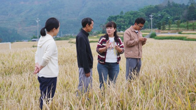 龙陵县融媒体中心 (7).jpg