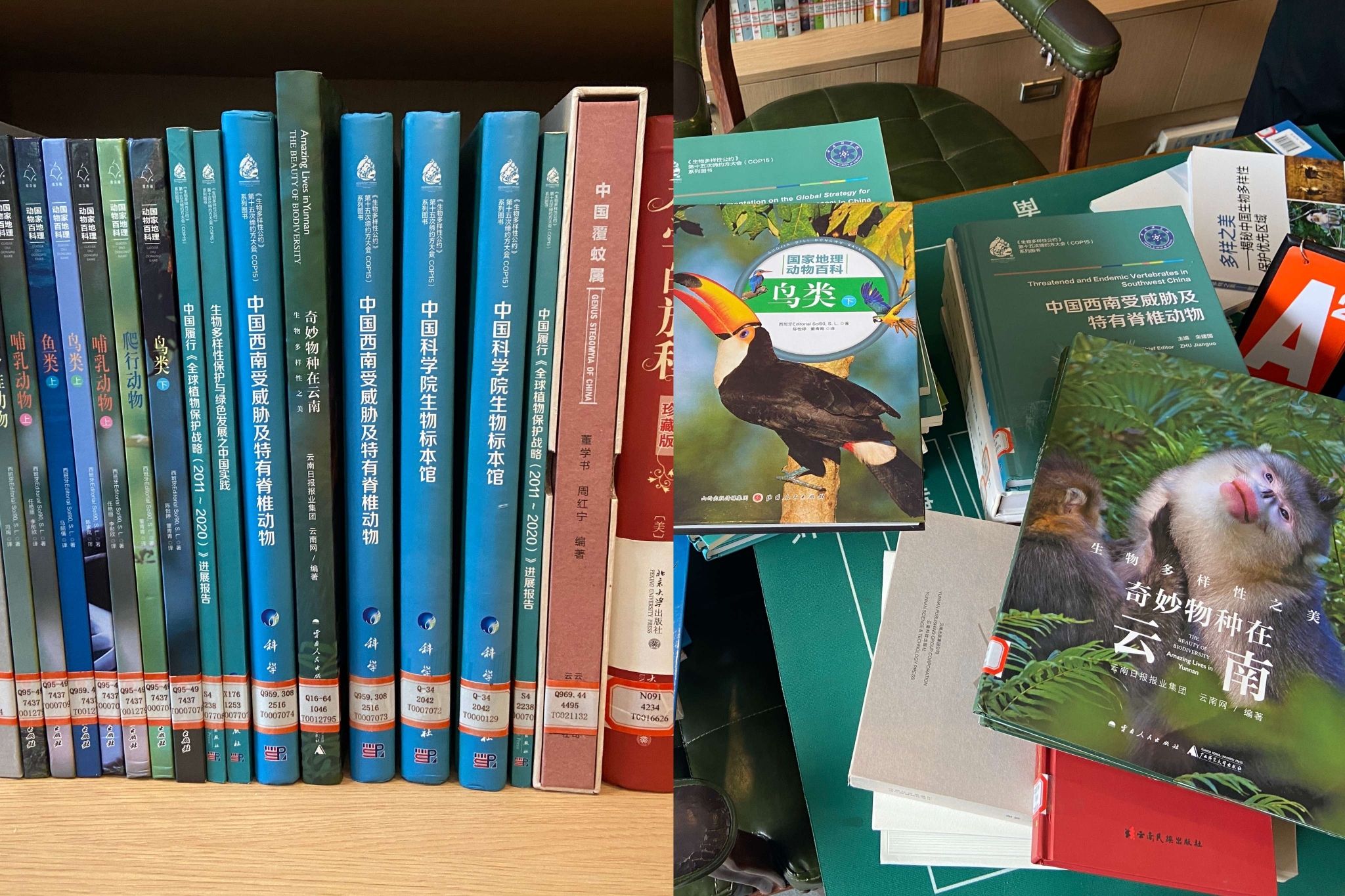 泸水市首个“生物多样性”新型阅读空间落成