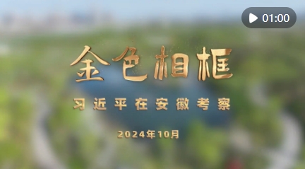 微信截图_20241021083446 微信截图_20241021083446