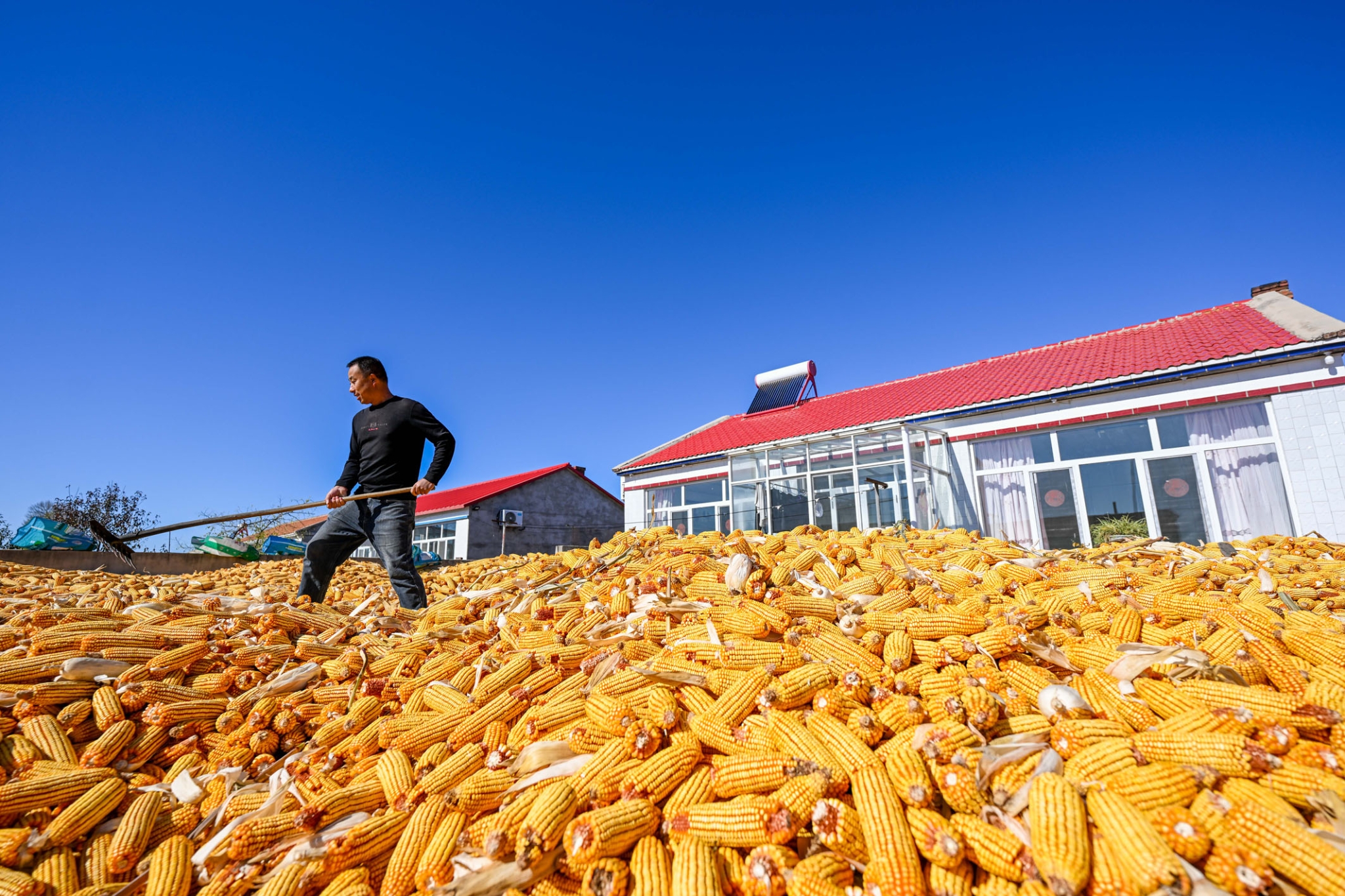 20241021c4e22144633a4f89bf0c1b387ae9b263_20241021ca03795a9f1d4055a9c7248a66426f41 20241021c4e22144633a4f89bf0c1b387ae9b263_20241021ca03795a9f1d4055a9c7248a66426f41