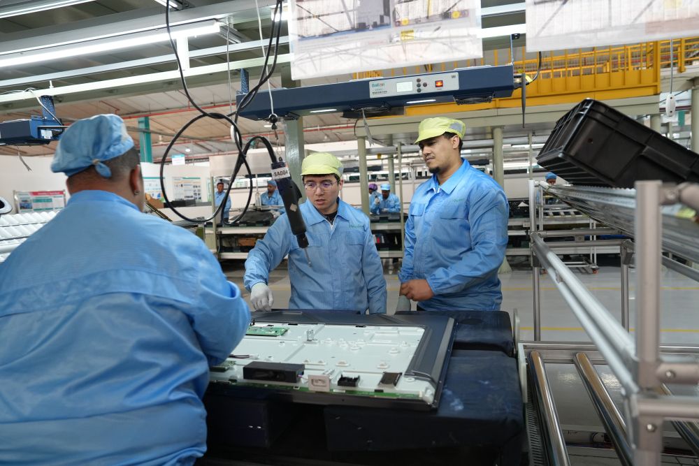 XxjpsgC007181_20241022_CBMFN0A005