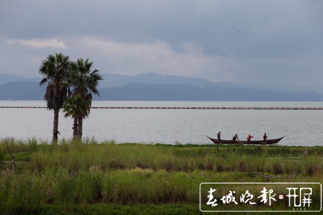 扶荔宫和宝丰湿地即将对公众开放(高伟 摄)