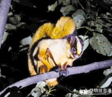 73791730234187946 73791730234187946