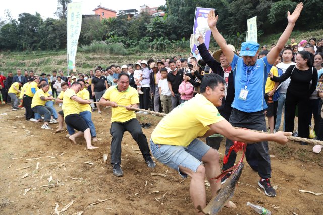 梯田拔河 (2).JPG