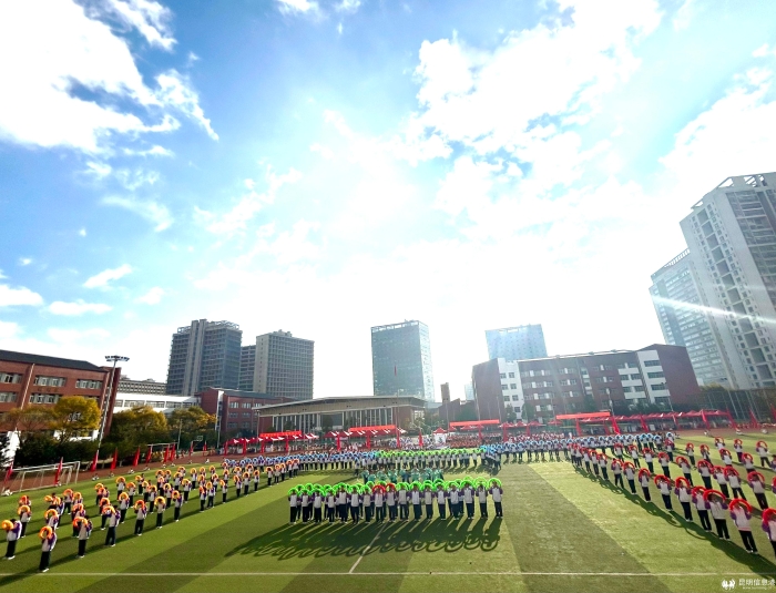 42331732101782_.pic_hd 42331732101782_.pic_hd