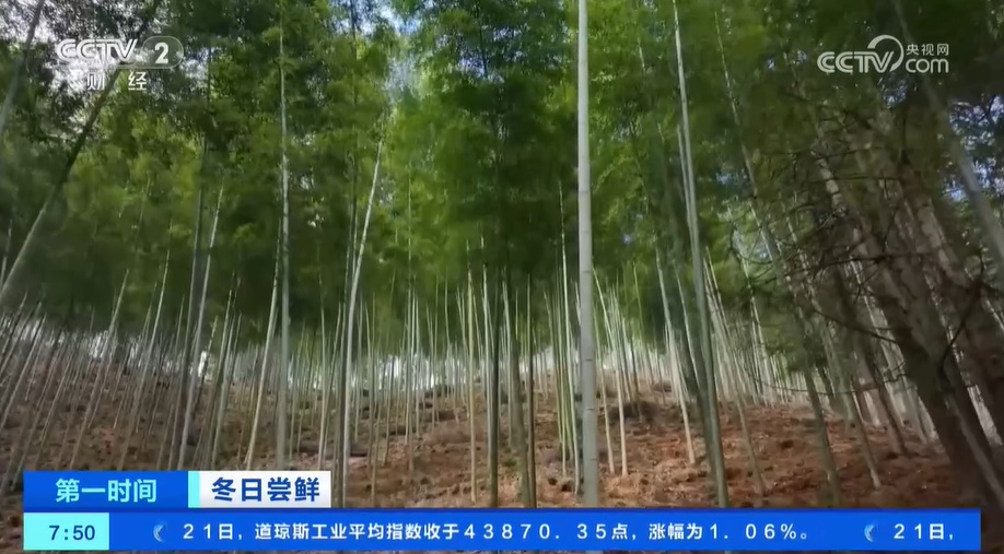 小雪节气 “菜篮子”也丰富 大棚蔬菜上市 &nbsp;冬笋、咸菜正当时